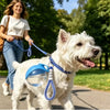 Botella de Agua Portátil para Perros y Gatos