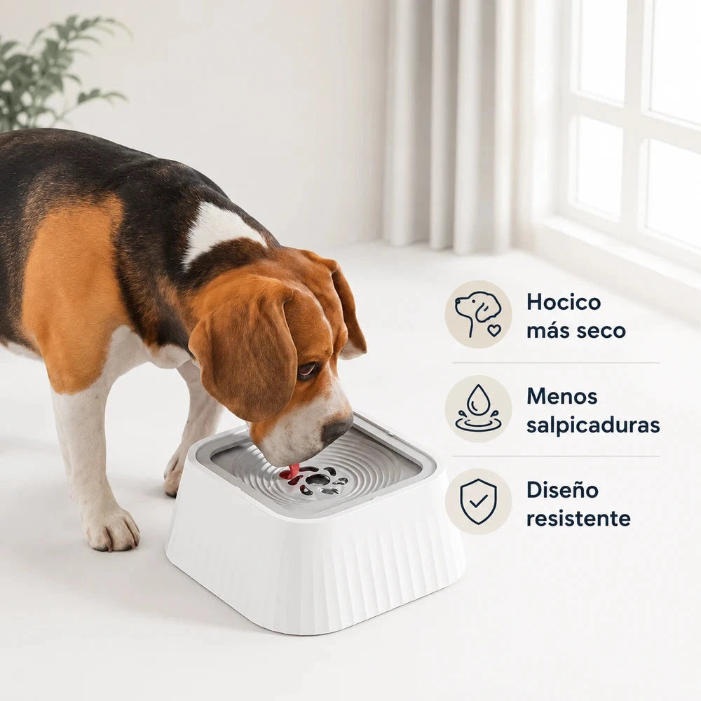 Cuenco Antisalpicaduras para Mascotas