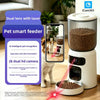 Comedero Automático Inteligente para Mascotas